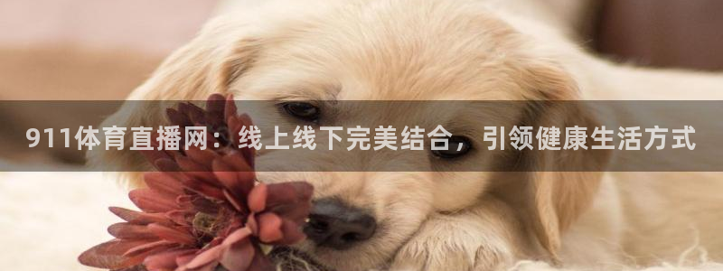 24直播 体育：911体育直播网：线上线下完美结合，引领健康生活方式