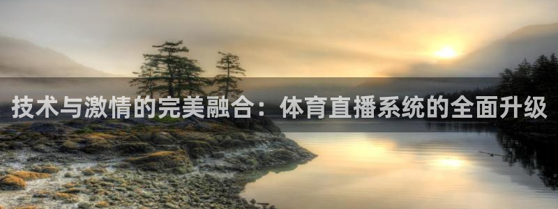 24直播网体育直播高清：技术与激情的完美融合：体育直播系统的全面升级