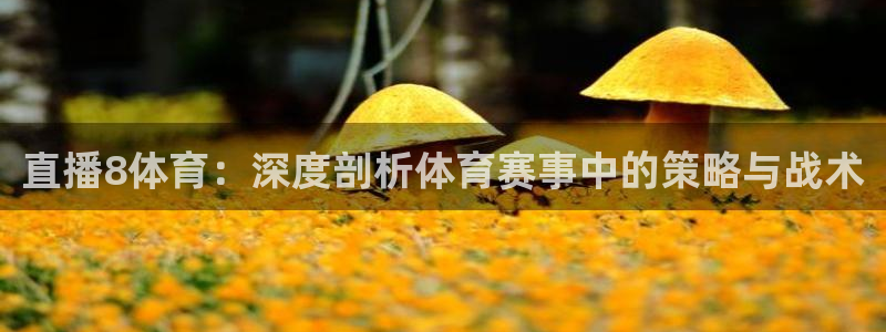 24直播网：直播8体育：深度剖析体育赛事中的策略与战术