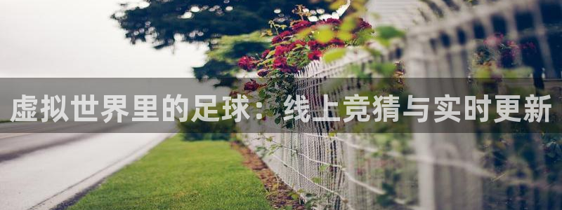 24直播网体育直播：虚拟世界里的足球：线上竞猜与实时更新