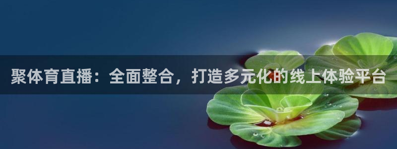 nba直播免费24直播网：聚体育直播：全面整合，打造多元化的线上体验平台
