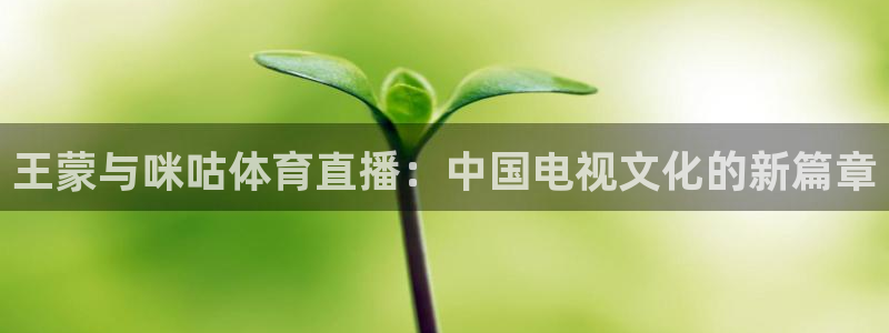 24直播网足球在线：王蒙与咪咕体育直播：中国电视文化的新篇章