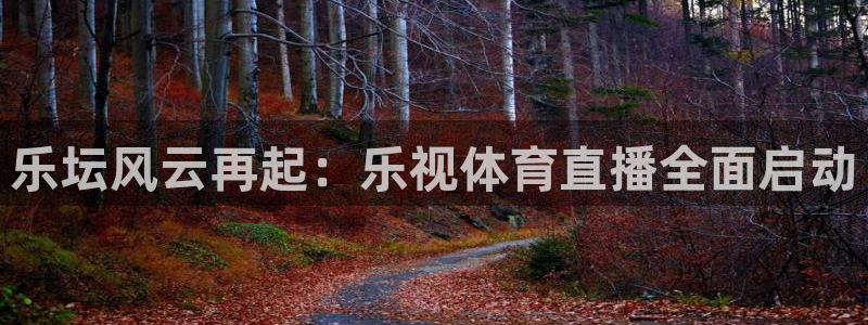 24直播足球：乐坛风云再起：乐视体育直播全面启动
