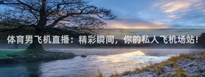 24直播足球：体育男飞机直播：精彩瞬间，你的私人飞机场站!