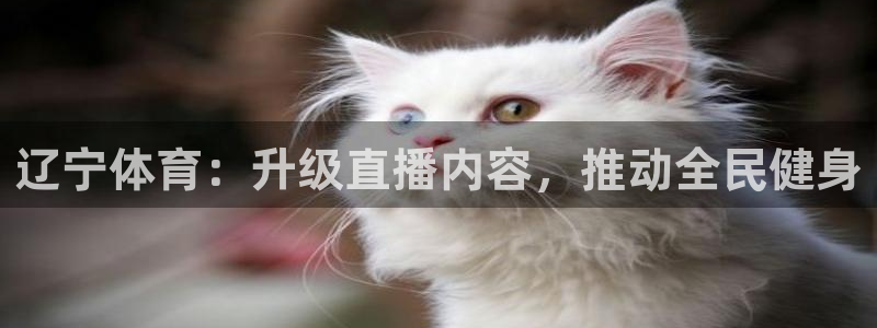 体育直播24直播网：辽宁体育：升级直播内容，推动全民健身