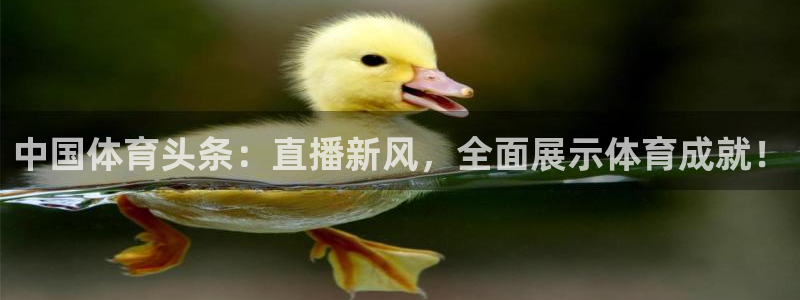 24直播足球在线直播：中国体育头条：直播新风，全面展示体育成就！