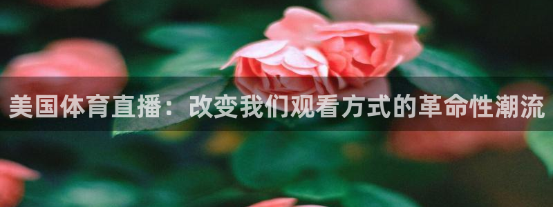 24直播篮球：美国体育直播：改变我们观看方式的革命性潮流
