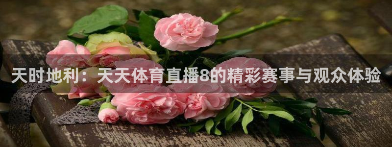 24直播网体育在线直播：天时地利：天天体育直播8的精彩赛事与观众体验