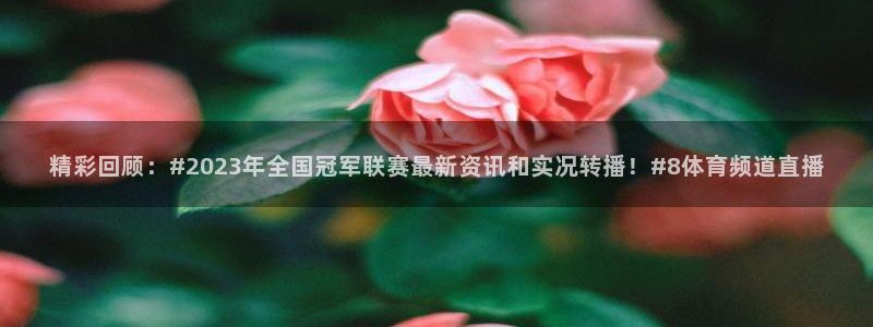 24直播网nba直播：精彩回顾：#2023年全国冠军联赛最新资讯和实况转播！#8体育频道直播